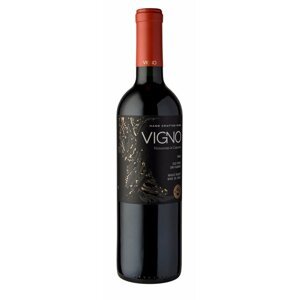 Black Vigno Carignan 2015