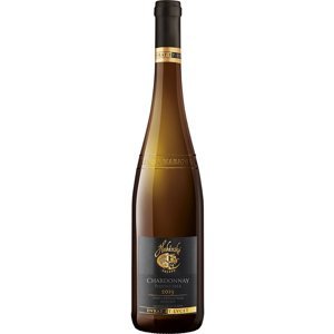 Habánské sklepy Chardonnay 2019 pozdní sběr 0.75l