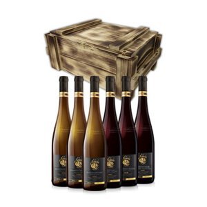 Výběr nejlepších vín z Habánských sklepů v luxusním dřevěném boxu