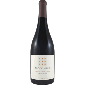 Block Nine Caiden's Vineyard Pinot Noir 2020 Červené 13.5% 0.75 l